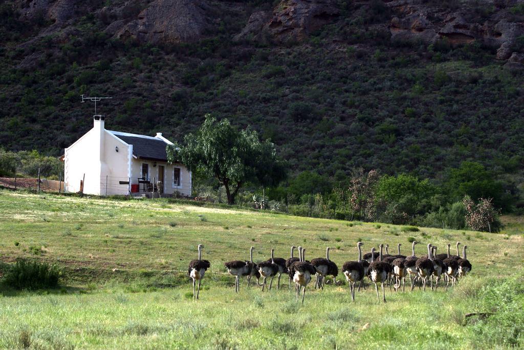 Villa Red Stone Hills Buffelskloof Exterior foto